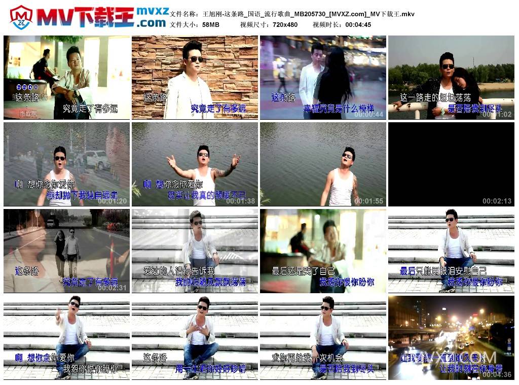 王旭刚-这条路_国语_流行歌曲_MB205730